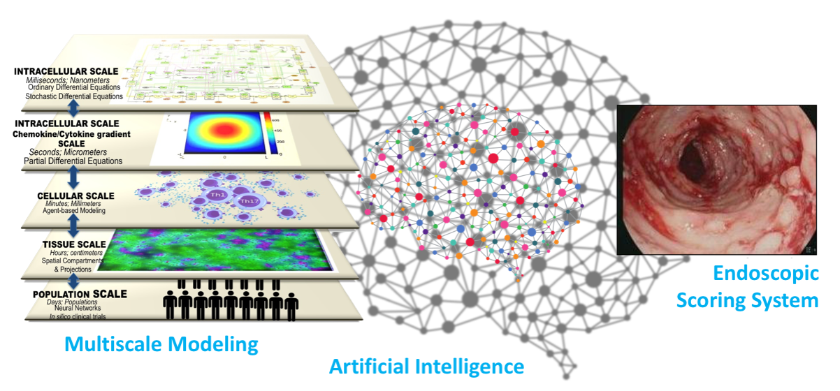 iMED system for accelerating precision medicine