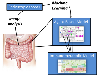 iMED system for accelerating precision medicine