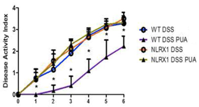 Disease Activity Level graph