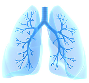 Respiratory Pathogens
